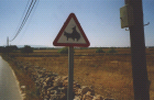 Formentera - Cows street sign